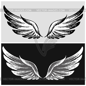 Set Wings,hand drawing - vector clipart