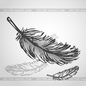 Colorful feathers - vector clipart