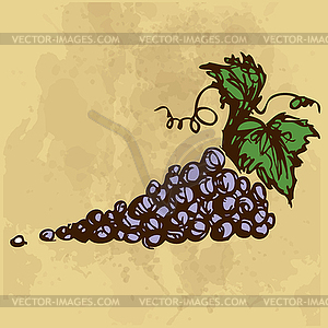Виноградный рисунок - векторный клипарт Royalty-Free