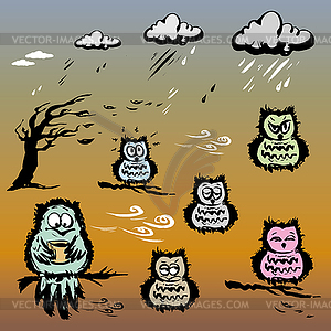 Set of cute owls - vector image