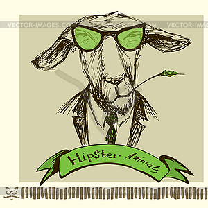 Portrait of Donkey Hipster on background - vector clipart
