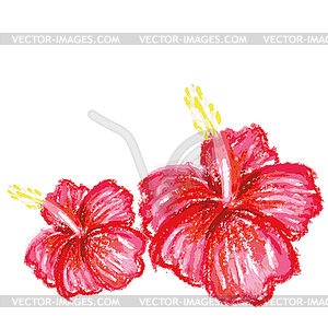 Handmade drawing pastel chalks hibiscus background - vector EPS clipart