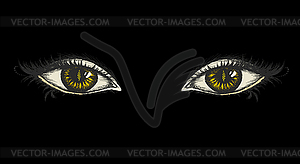 Пара глаз, ручной рисунок - изображение в векторе