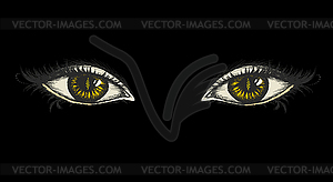 Pair of eyes, hand drawing - vector image