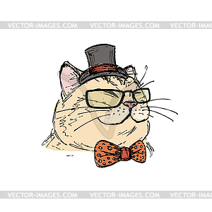 Fashion portrait of kitten boy, cat with bow tie an - vector image