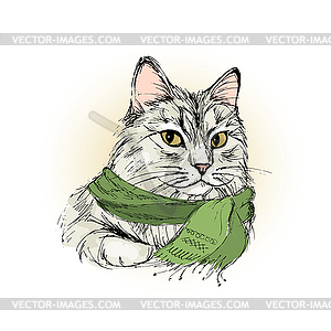 Charming male cat , hand drawing - vector clipart