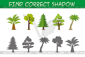 Kids game with trees,find correct shadows, - vector clipart