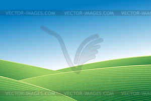 Green field and blue sky - vector image