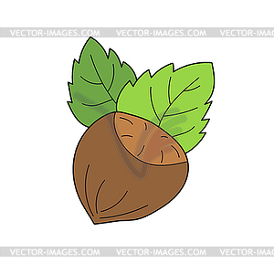 Simple cartoon icon. Cozy hazelnut. Colored hazelnu - vector clip art