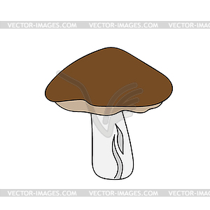 Boletus mushroom in simple style - vector clip art
