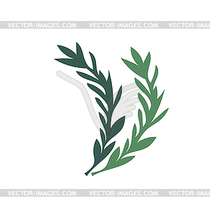 Простые ветки и листья розмарина - клипарт в векторном виде