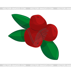 Red berries with green leaves cartoon - vector clipart