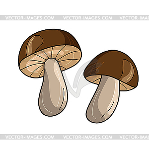 Mushroom cartoon drawing . Two brown cute mushrooms - color vector clipart