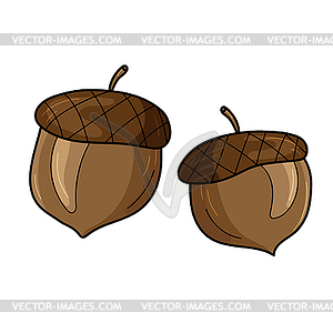 Two acorns in cartoon style . Forest decoration - vector image