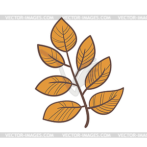 Осенний лист. Дизайн для плакатов, текстиля, одежды - векторизованное изображение клипарта