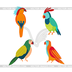 Multicolored cartoon character parrots. Exotic - vector clipart