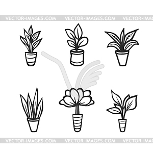Милые комнатные растения в цветочном горшке. набор - векторный клипарт / векторное изображение