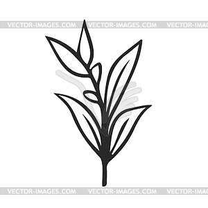 Стиль каракулей . Простой элемент из веточки и листьев - изображение в векторе / векторный клипарт
