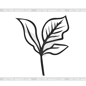 Doodle style . Simple element of twig and leaves - stock vector clipart