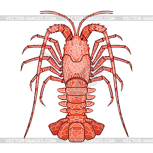 Decorative crayfish - vector image