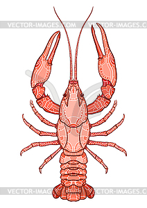 Decorative crayfish - vector clipart