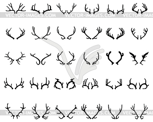Deer horns - vector clipart