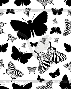 Butterflies  - vector clipart