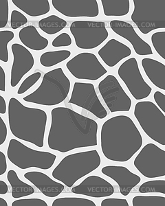 Leather of giraffe - vector image