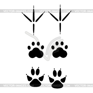 Set of animal footprints for ecology design or - vector image