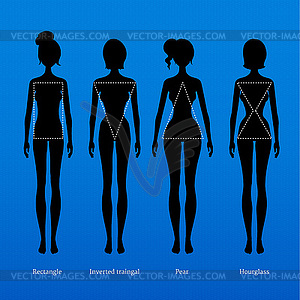 Женский типы тела - изображение векторного клипарта