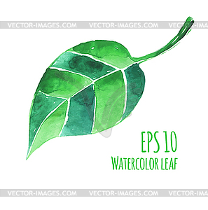 Watercolor leaf - vector clipart