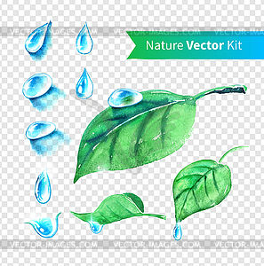 Water drops and leaves set - vector image