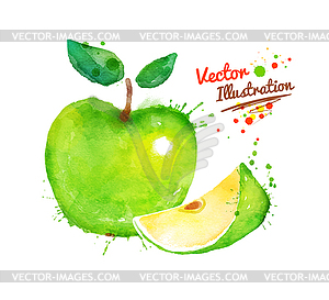 Watercolor apple - vector image