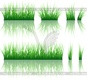 Reflected grass pattern - vector image