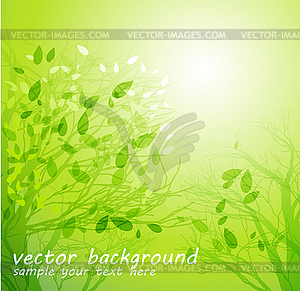 Season tree with green leaves - vector image