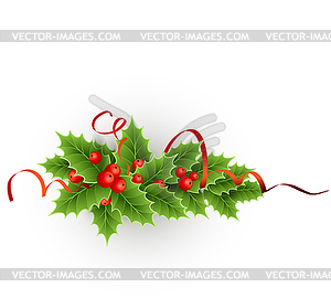Christmas holly with berries - vector image