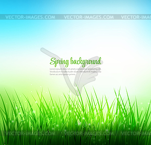 Естественный зеленый фон травы - цветной векторный клипарт