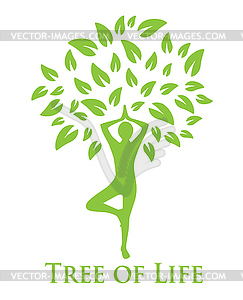 Yoga and the tree of life - vector clip art