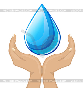 A drop in the palms - vector image