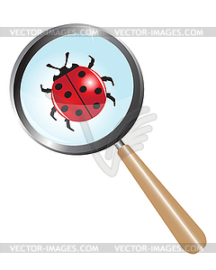 Ladybug under a magnifying glass - vector clip art