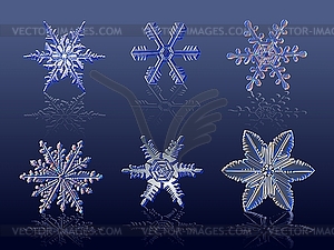 Snowflakes on blue background - vector image