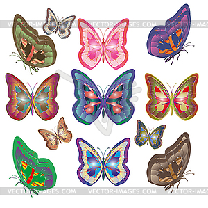 Butterfly - vector clip art