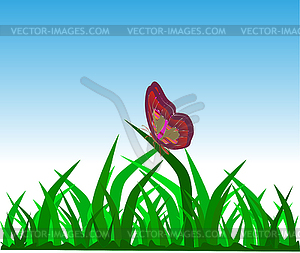Butterfly on grass - vector clipart