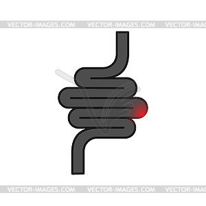 Intestine. stock on white - vector clipart