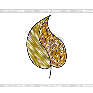 Color shaded outline of plant leaf. Hand-drawn - vector image