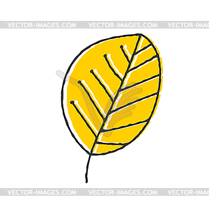 Color hand-drawn plant leaf. Doodle sty - vector image