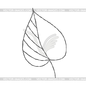 Рисованный лист растения. Doodle стиль - векторный клипарт Royalty-Free