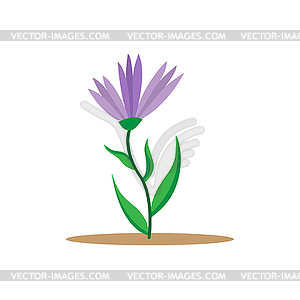 Colorful flower for design and th - vector clip art