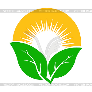 Sun and leaf. Template for logo, sticker, or logo - vector clipart