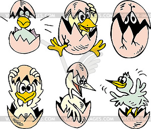Set of cute nestlings hatching out eggs - vector clip art